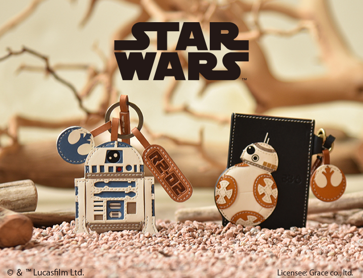 ワクワクチャーム「R2-D2」とパスケース「BB-8」