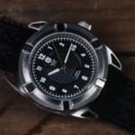 APIAR_watch_3
