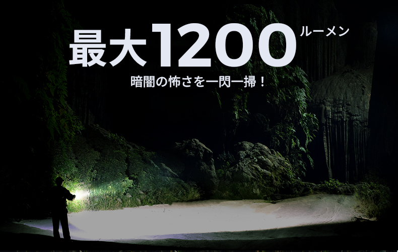 ZERO FLASH 1200