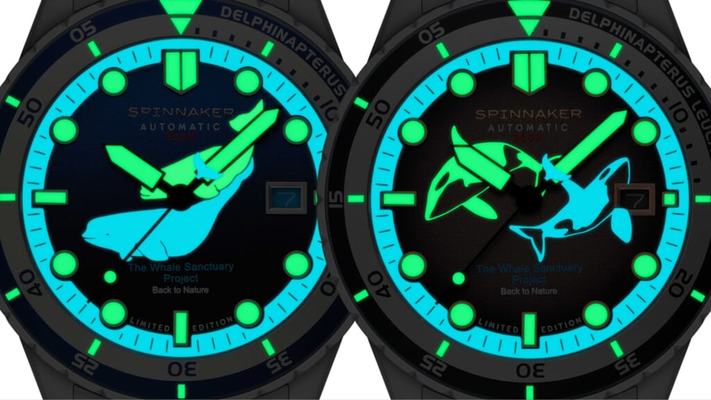 スピニカー HASS AUTOMATIC WHALE SANCTUARY PROJECT SECOND EDITION ベルーガモデル、オルカモデル