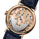 7035BH-H2-9V6_caseback