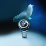 スピニカー HASS AUTOMATIC WHALE SANCTUARY PROJECT SECOND EDITION ベルーガモデル