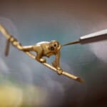 LOUIS VUITTON Escal'un Amazonie