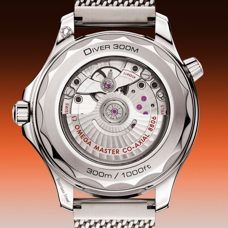 210.30.42.20.01.018_caseback