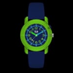ICE-WATCH ICE find