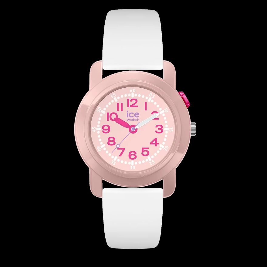 ICE-WATCH ICE find