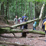 H_Hiking_02