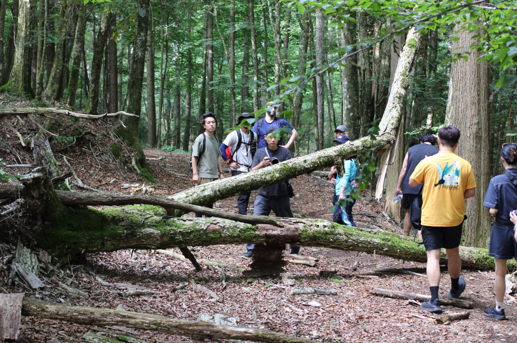 H_Hiking_02