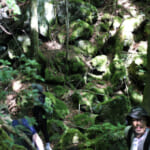 H_hiking