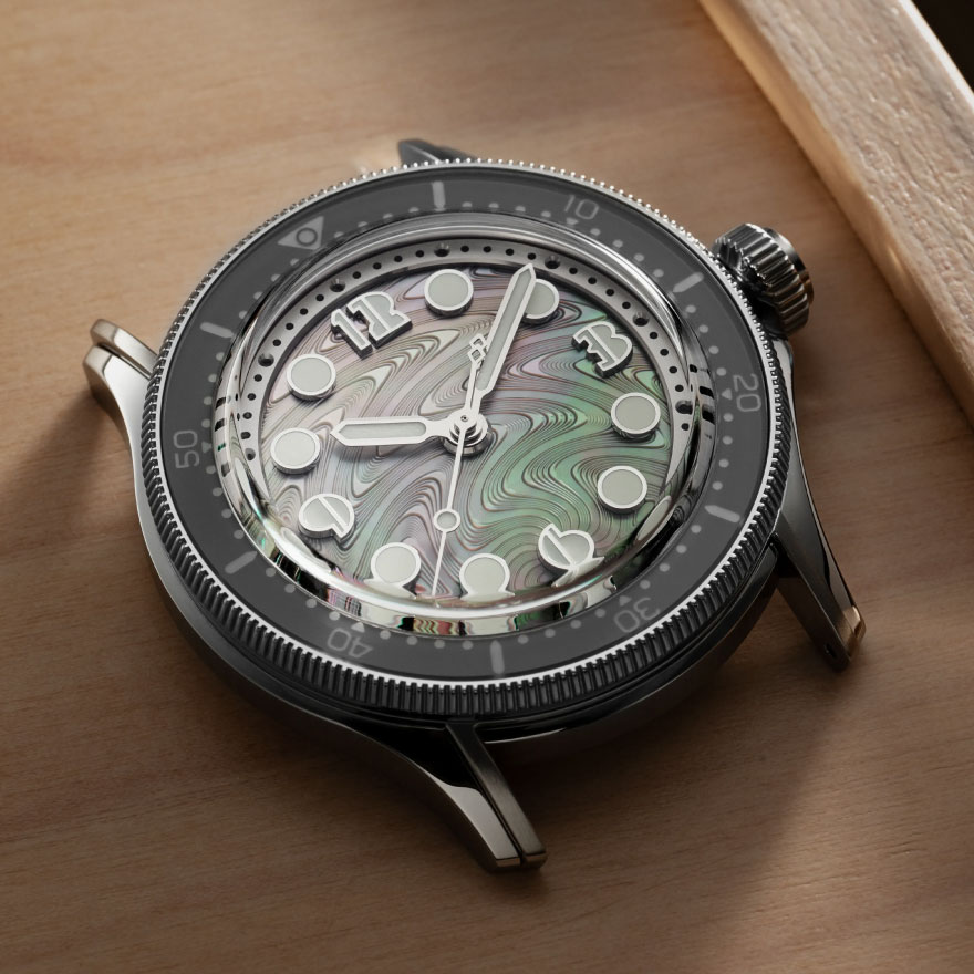 Horizon×Selten_watch