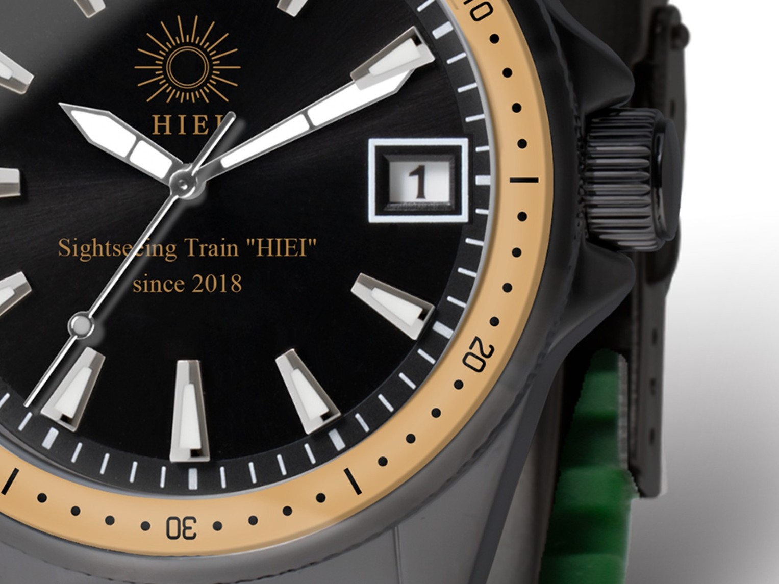 EIZAN TRAIN 100th anniversary watch