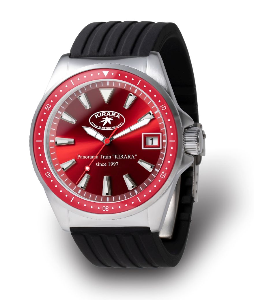 EIZAN TRAIN 100th anniversary watch