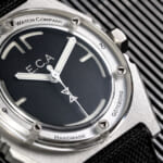 Mytilus_dial