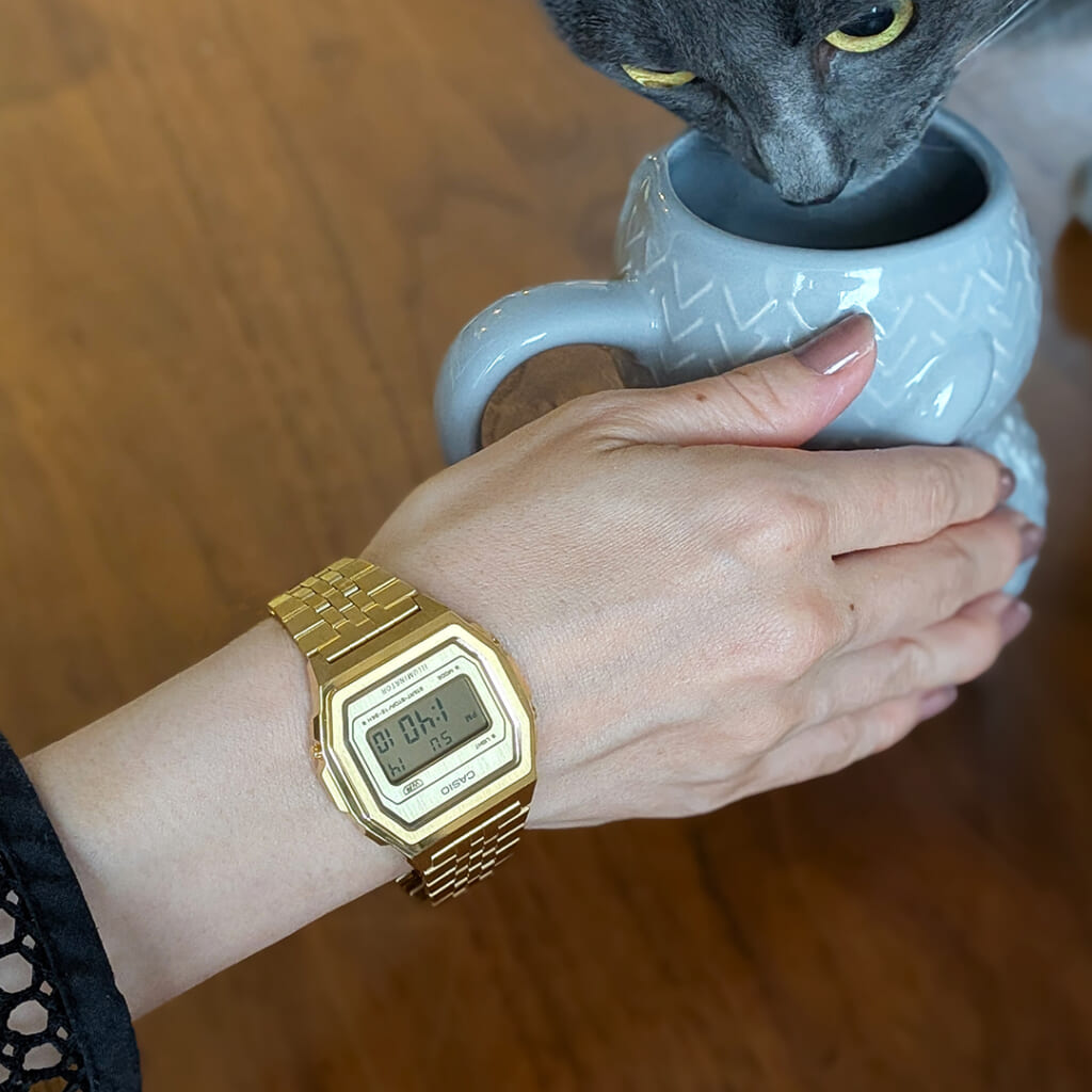 カシオ クラシック プレミアムシリーズ チックタック 先行発売モデル