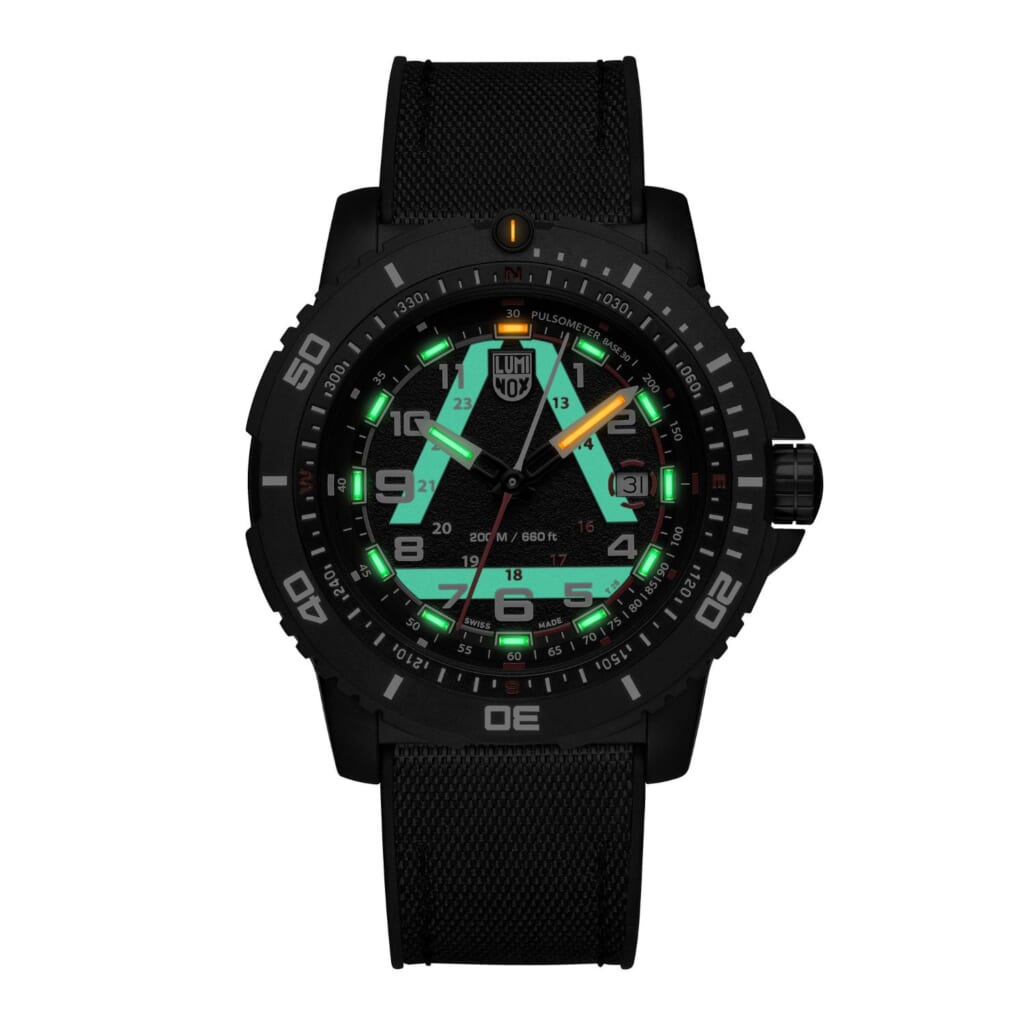 Luminox（ルミノックス） ICE-SAR 1080シリーズ