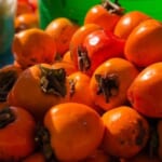 Fukushima Watch Company Odaka