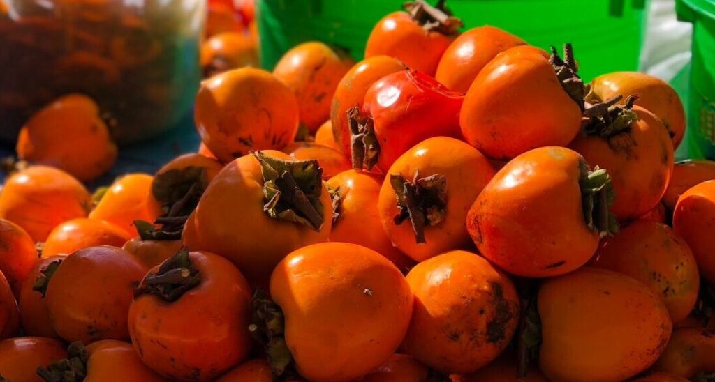 Fukushima Watch Company Odaka