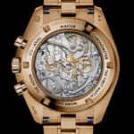 310.60.42.50.01.002_caseback