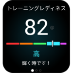 Garmin（ガーミン） Venu X1 French Gray