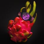 Swatch（スウォッチ） PAINTED PARADISE（ペインテッド パラダイス）