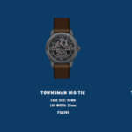 FOSSIL（フォッシル）TOWNSMAN BIG TIC