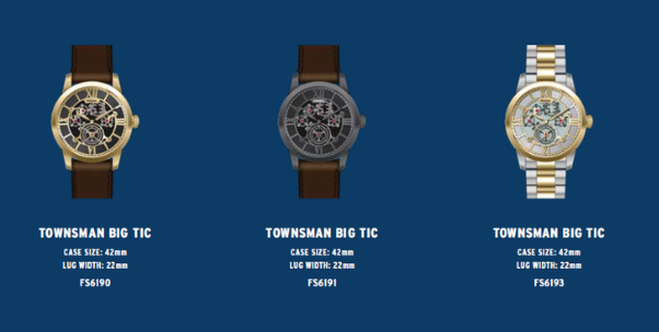 FOSSIL（フォッシル）TOWNSMAN BIG TIC