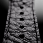 augment AI wena X（ウェナ クロス）