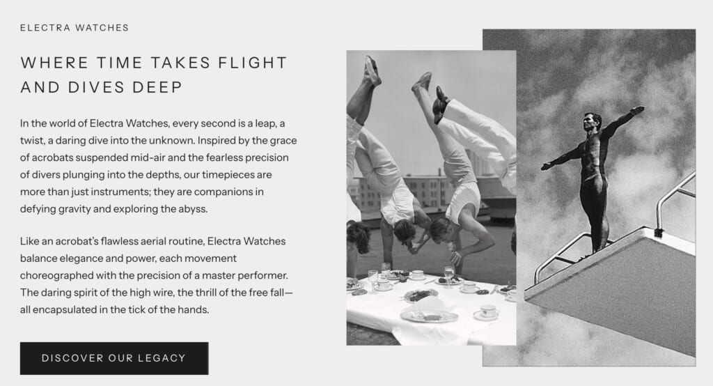 Electra_Brand history
