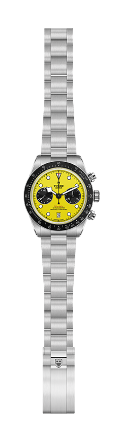 TUDOR（チューダー） ブラックベイ クロノ 39 “バンブルビー”