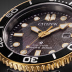 BN0264-53E_dial