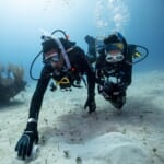 セイコー プロスペックス メカニカル PADI 60周年記念 限定モデル