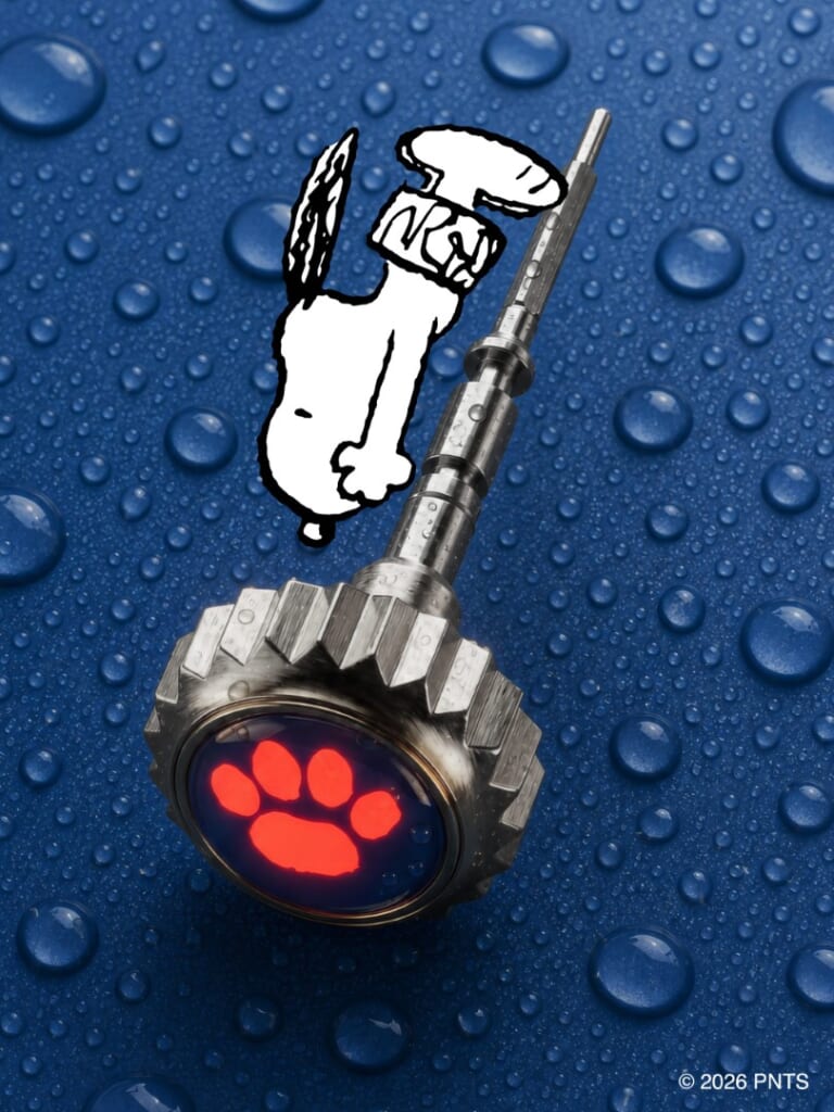 SPINNAKER（スピニカー） FLEUSS 40 AUTOMATIC PEANUTS SNOOPY SEASIDE SNORKEL LIMITED EDITION