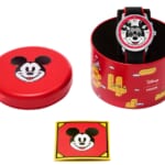 FOSSIL（フォッシル） Disney | Fossil BIG TIC