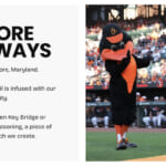 tsaobaltimore_brandstory