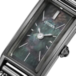 EG7049-53Y_dial