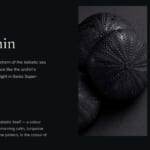 Marnaut_concept