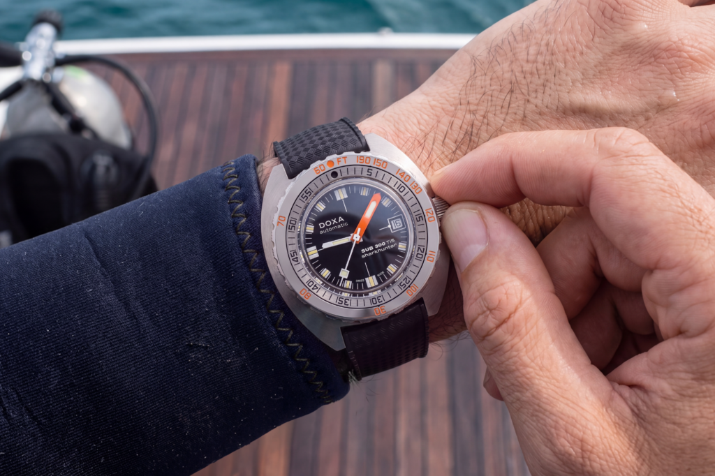 Shark hunter_size