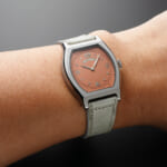 Epsilon-Salmon_size